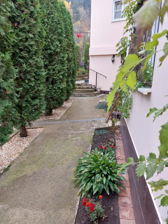 Коттедж Комфортный дом с беседкой — Кисловодск