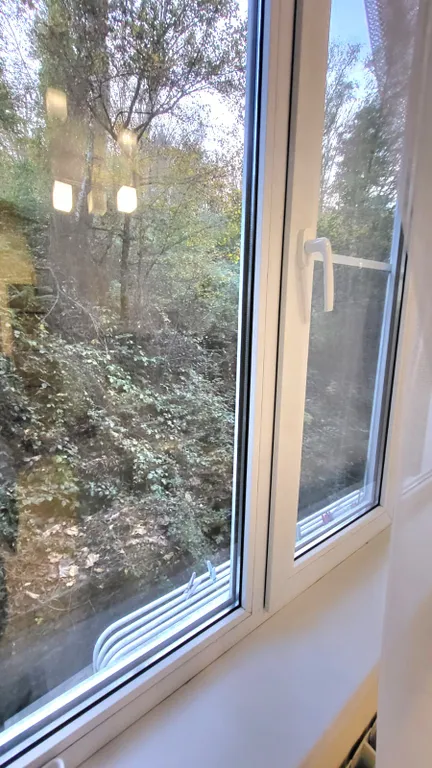 Студия у леса и моря