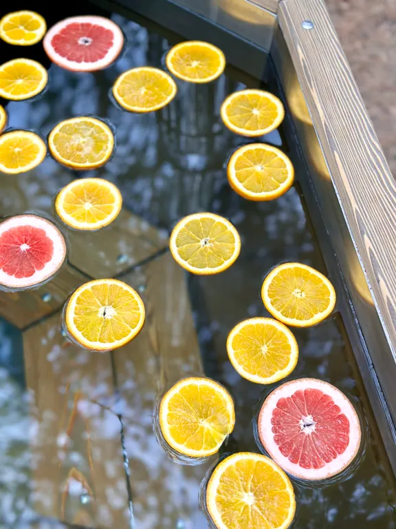 Домик в сосновом лесу