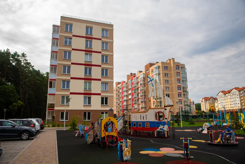 Студия балтийские сосны