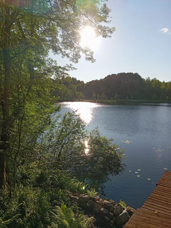 Деревянный дом, на берегу меличуярви, на краю леса в карельском селе