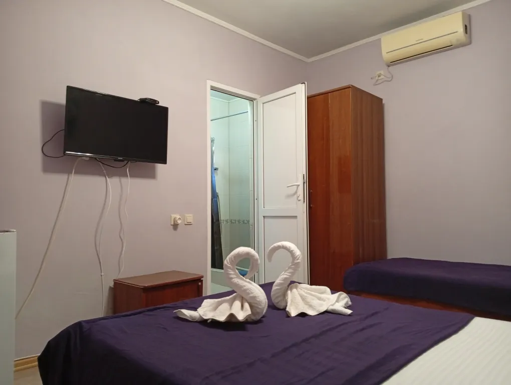 с одной двуспальной или 2 односпальными кроватями и доп спальным мест