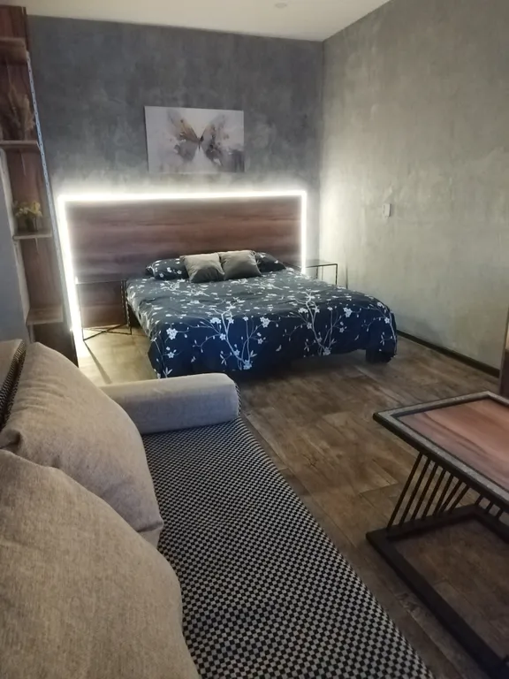 Уютная однокомнатная квартира