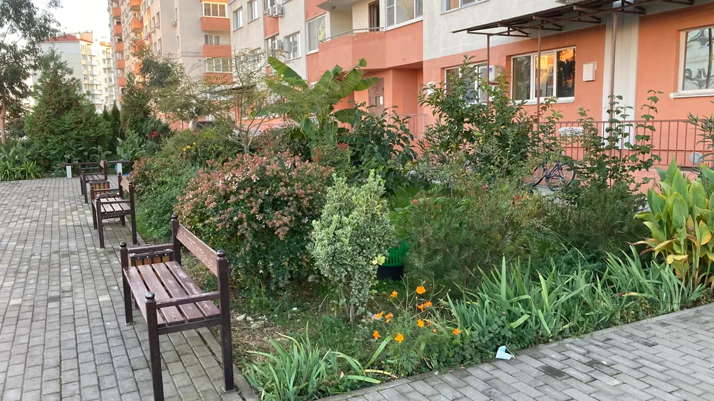 Квартира Светлые просторные апартаменты с уютной спальней — Сириус