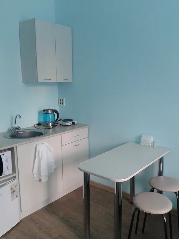 Студия на двоих в Гостевом доме Домашний