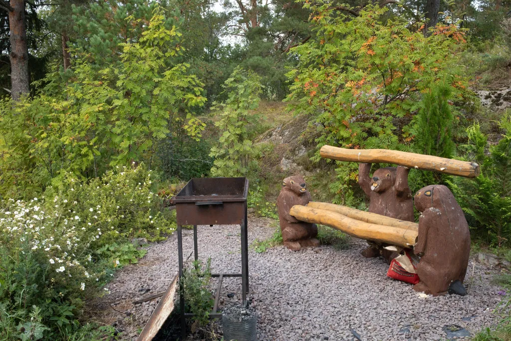 Дом на берегу Ладоги