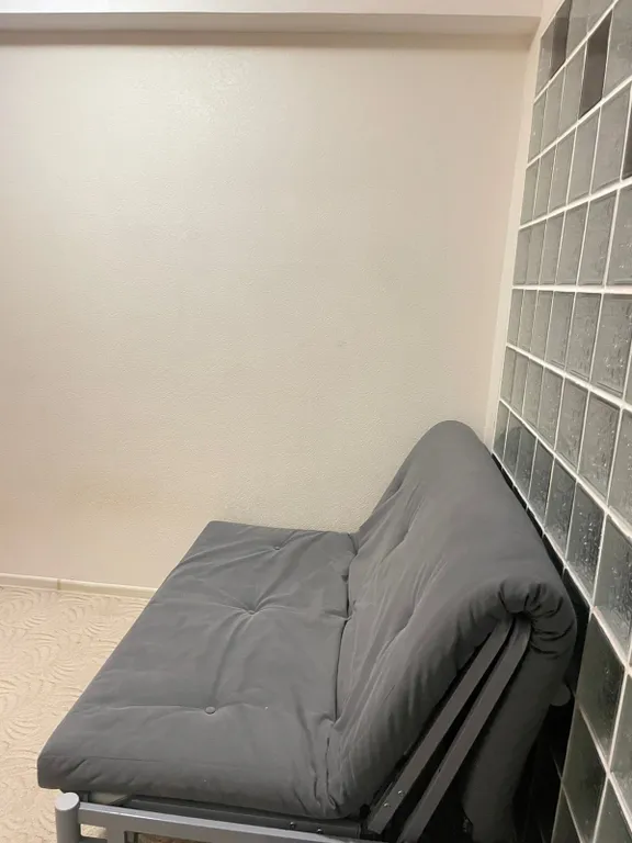 Квартира с выделенной спальней