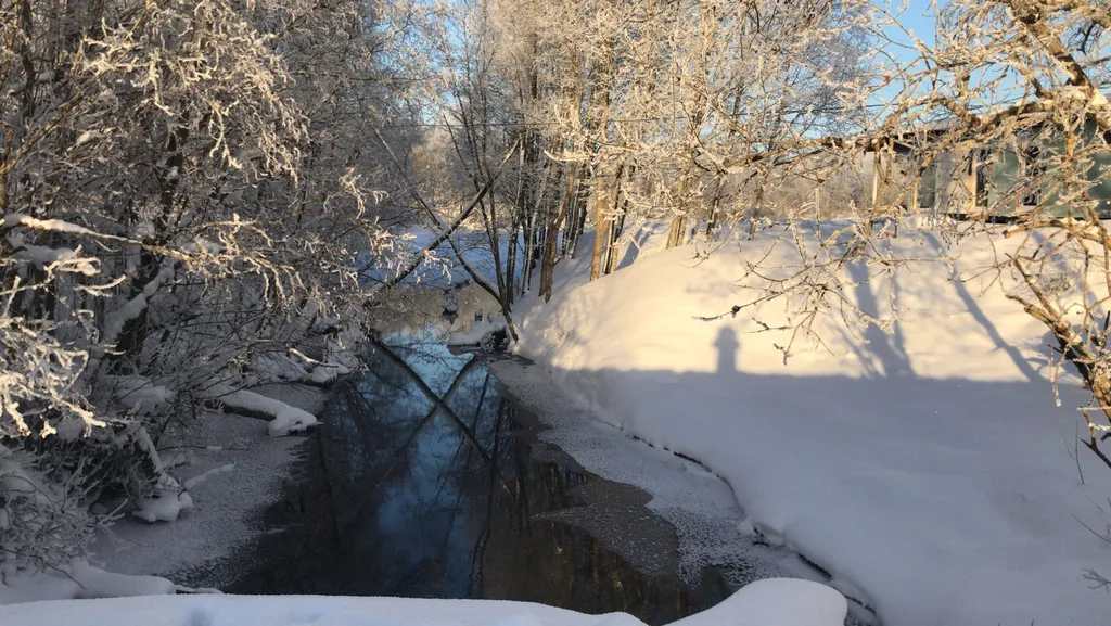 Twin house на берегу озера