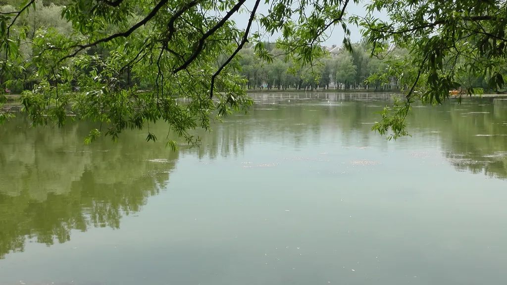 Студия на Московском проспекте (3)