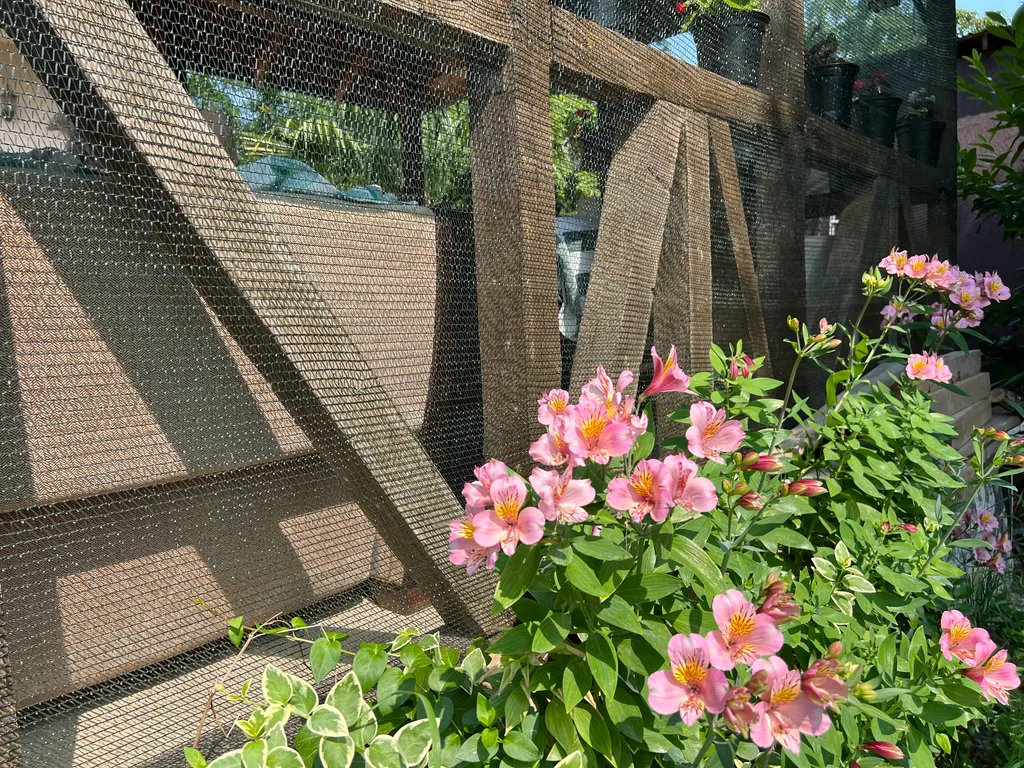 Просторный номер для 3 гостей