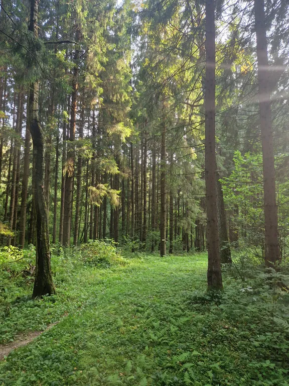 Коттедж Уютный дом с бассейном, с баней, беседка, камин, барбекю — Скоково