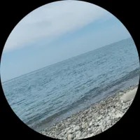Васильева Юлия