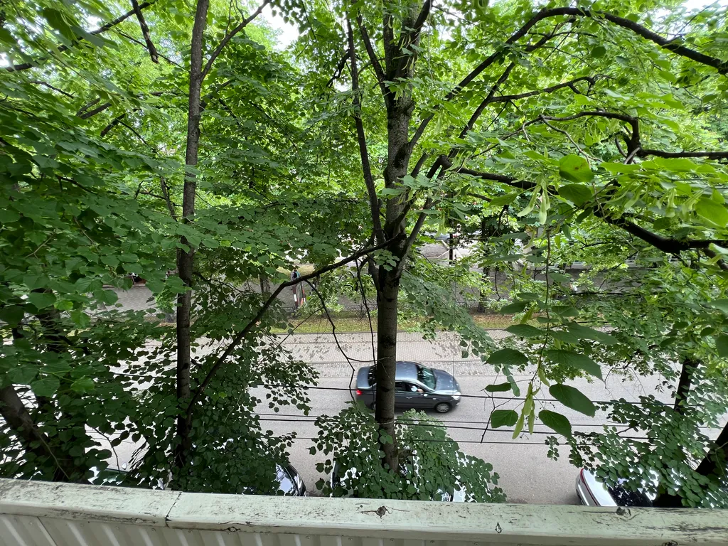 Уютная квартира в центре города, возле парка