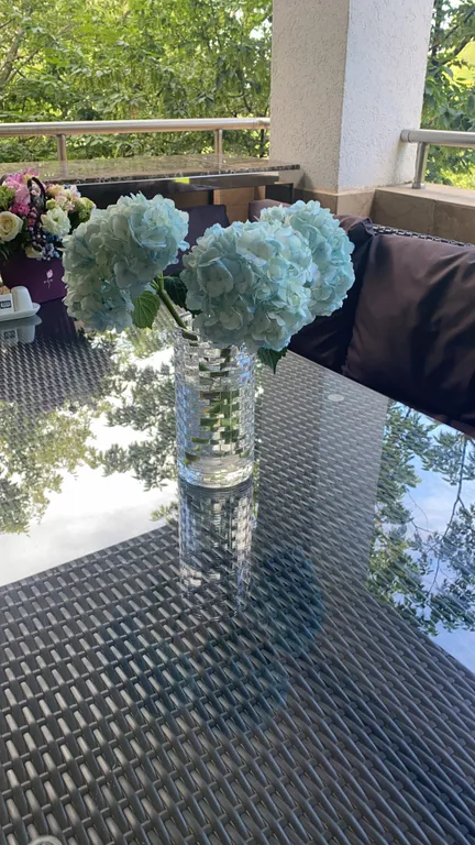 Апартамент с собственным пляжем