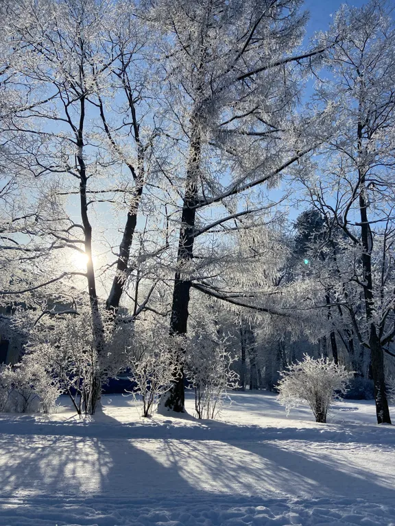 Квартира Апартаменты Александровские — Пушкин