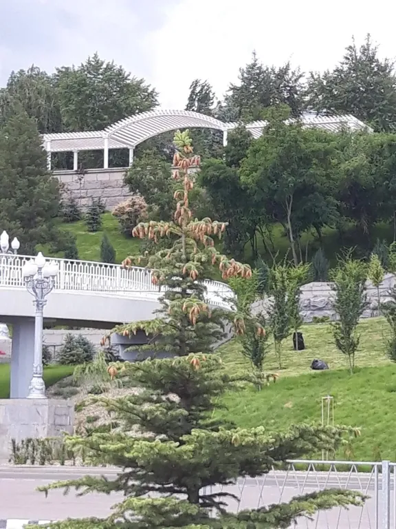 Квартира в историческом центре