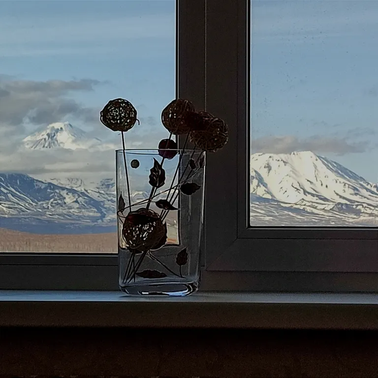 Уютная квартира в центре города с видом на вулканы