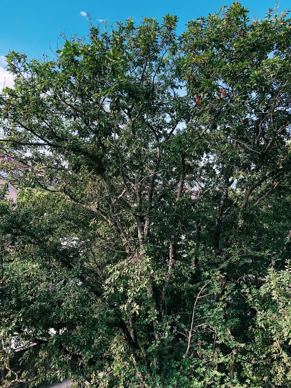 Уютная квартира в Сочи