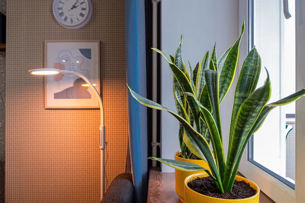 Ретро Апартаменты