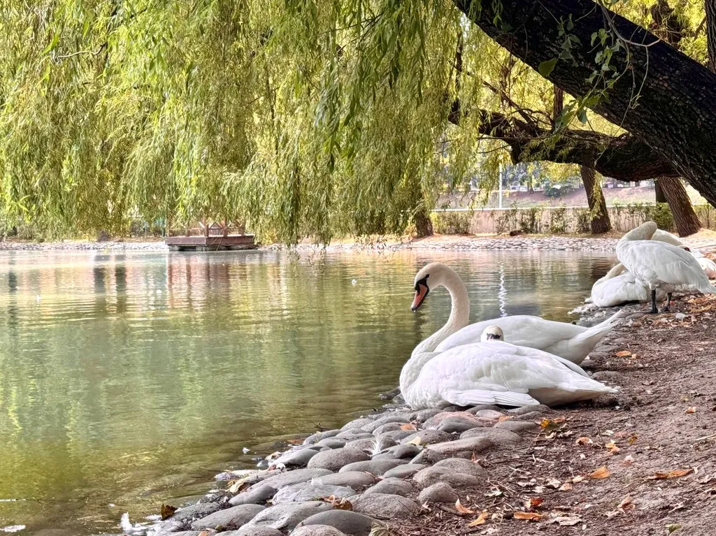 Эстетика и уют в центре, квартира для настоящего отдыха