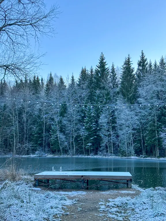 Уютный дом нa бeрегу лесногo озeра