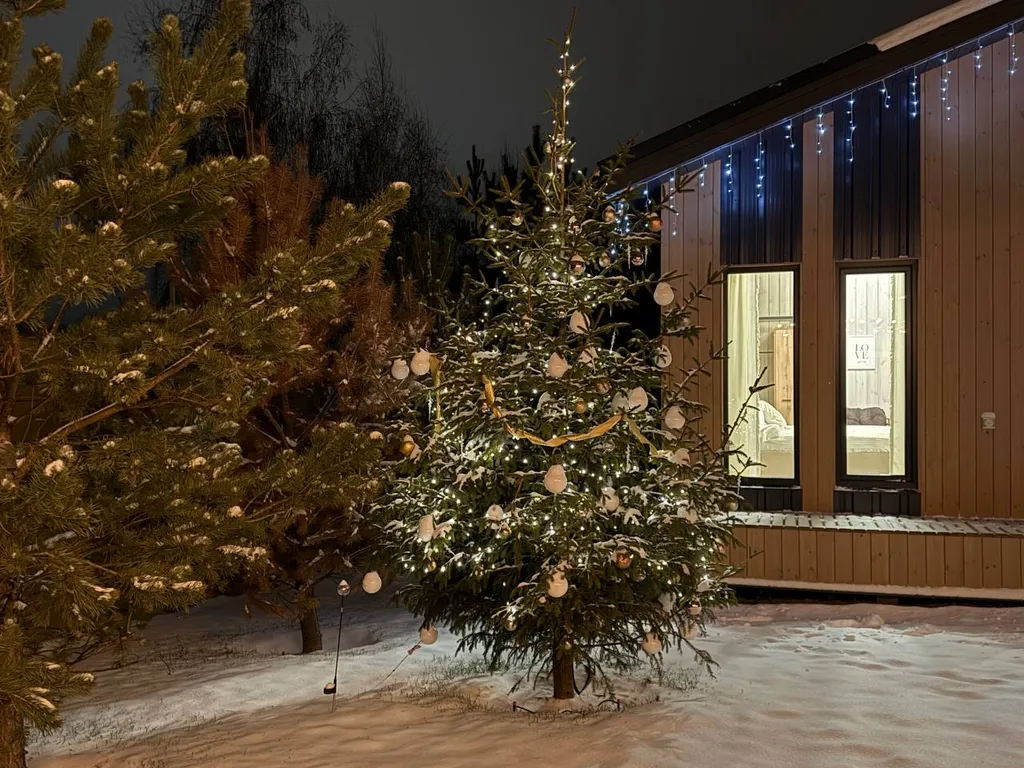 Skandi Белка загородный дом у пруда в подмосковье