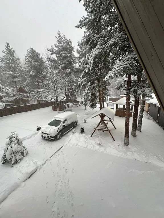 Новый двухэтажный дом в заповедной лесной зоне