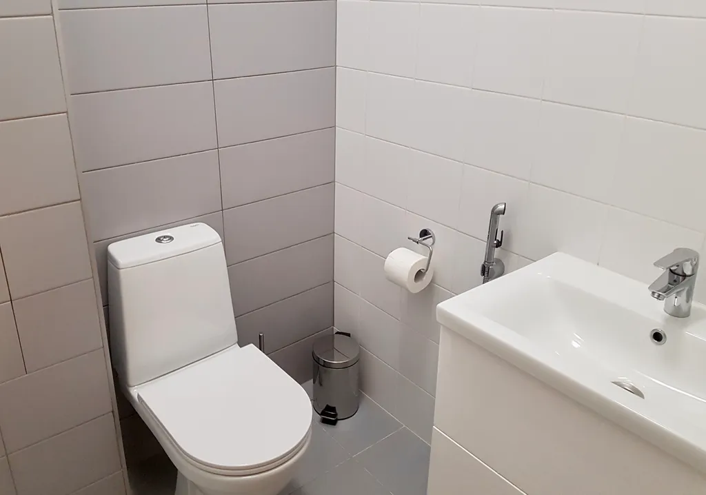 У залива среди сосен