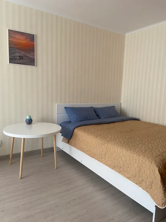 Квартира Уютная квартира в центре города — Калининград