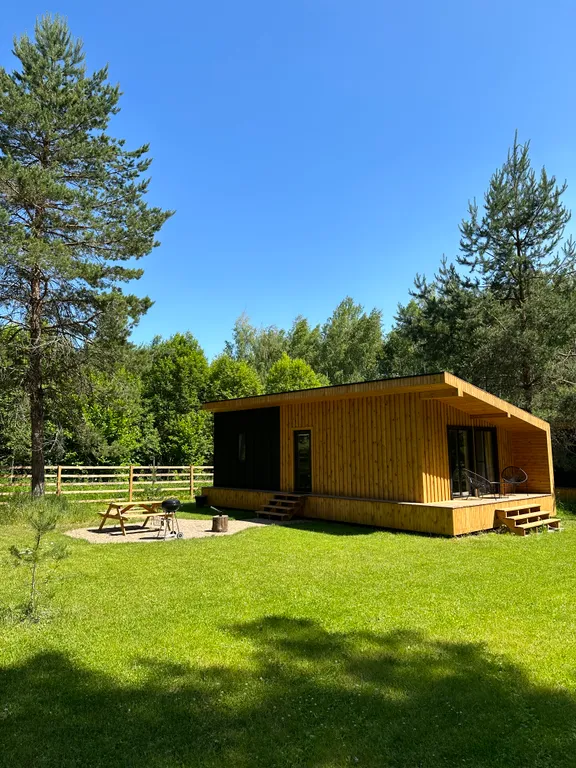 Сказочный домик в лесу