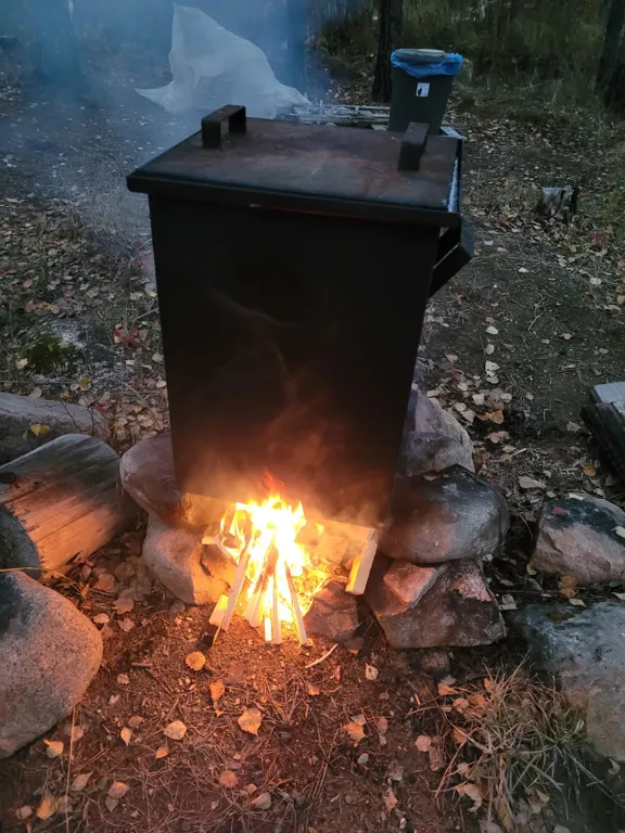 Загородный дом в лесу на Финском заливе