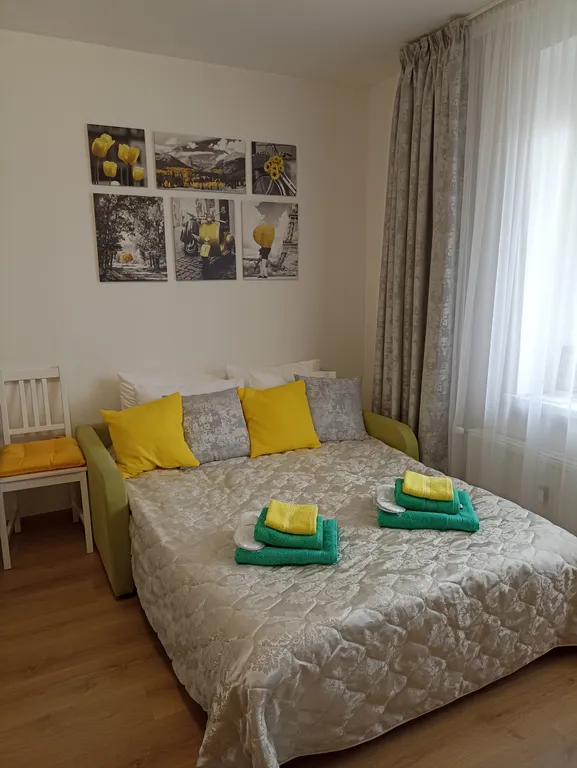 Квартира Квартира Уютная студия у НИИ имени Петрова с бесконтактным заселением — Песочный