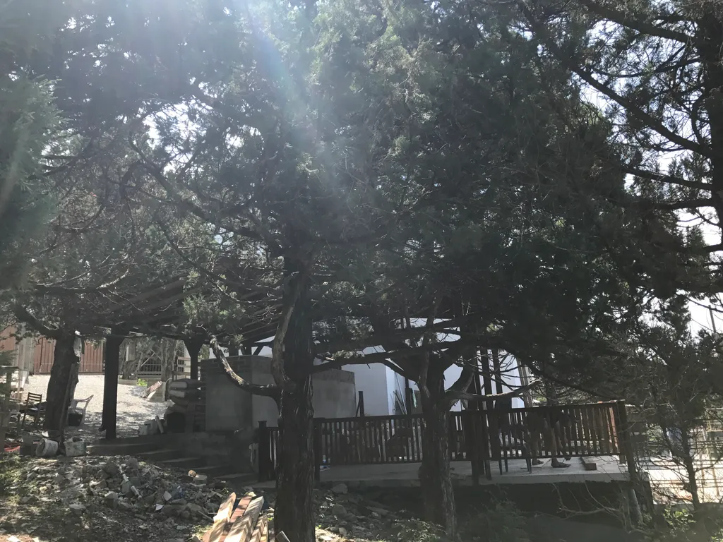 Семейный номер с видом на море