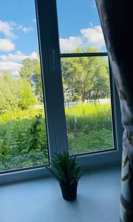 Дом Сказка в лесу