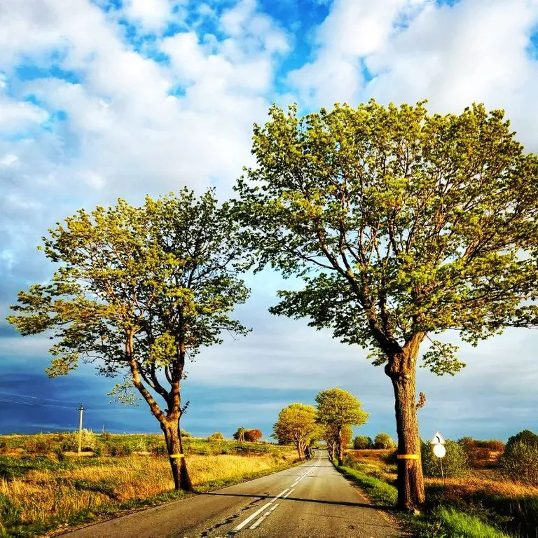 Квартира Квартира Apartments Castle Ruins — Калининград