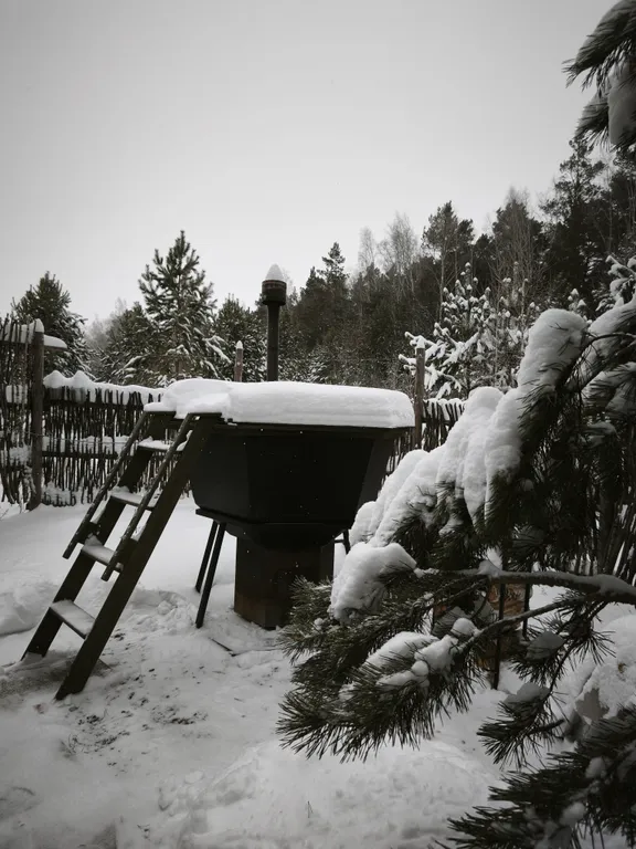 Светлый домик на опушке леса