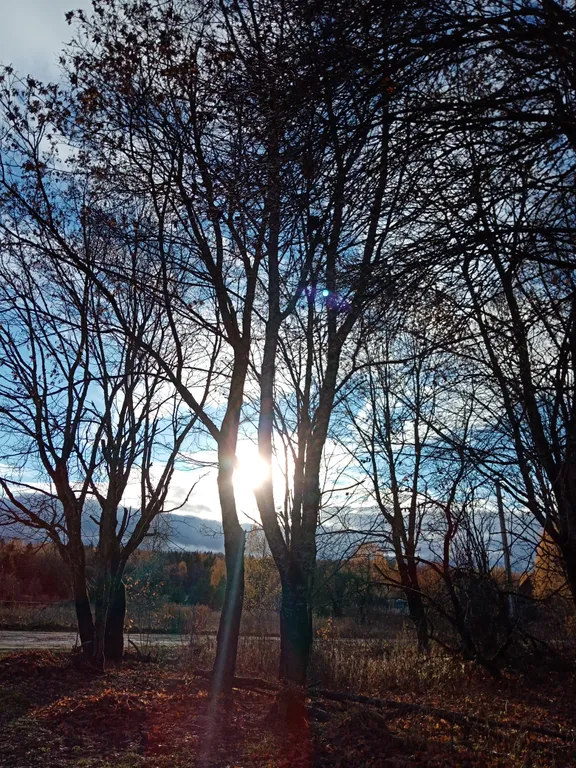 Эко дом Lavstep