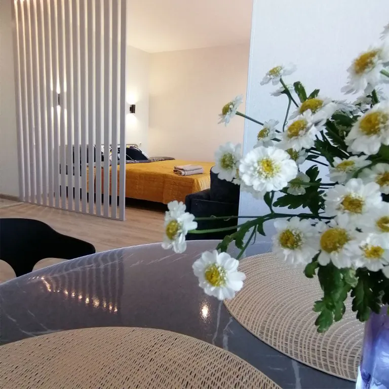 Просторная студия с видом на лес