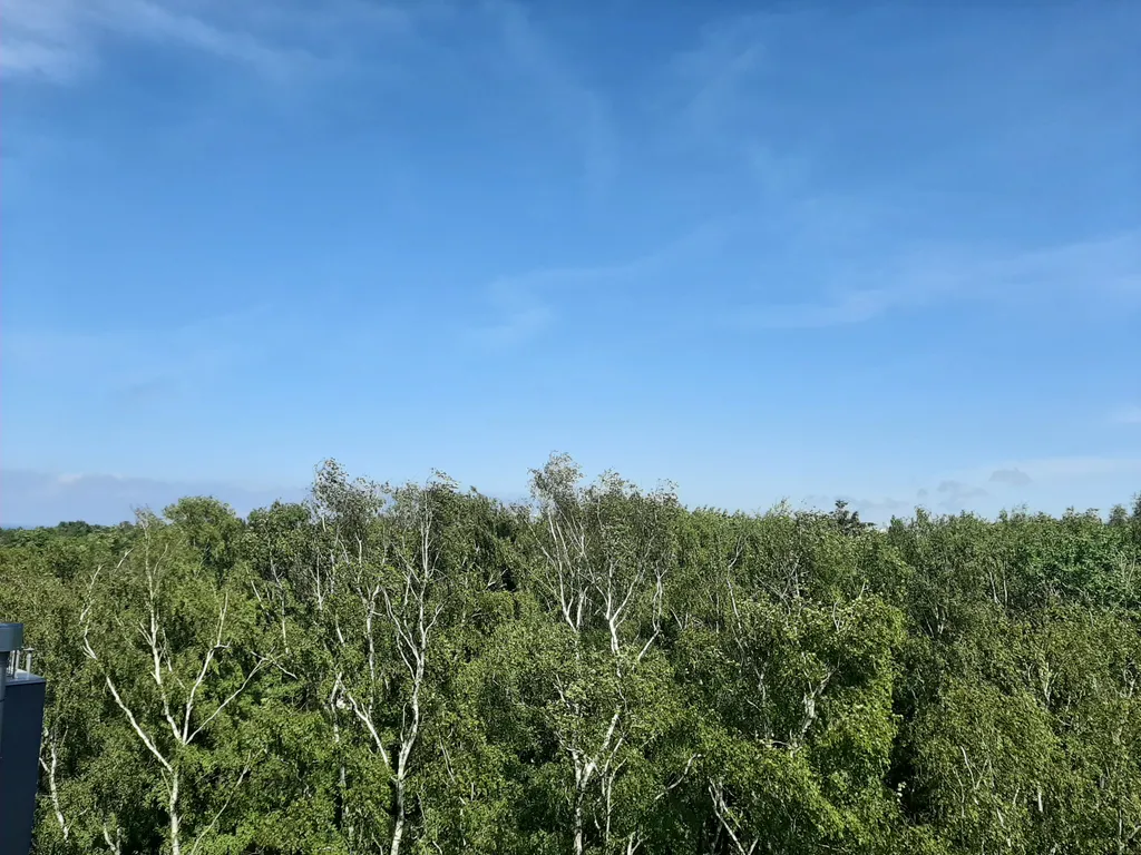 Квартира Квартира Vi&Va Кристалл комфорт — Светлогорск