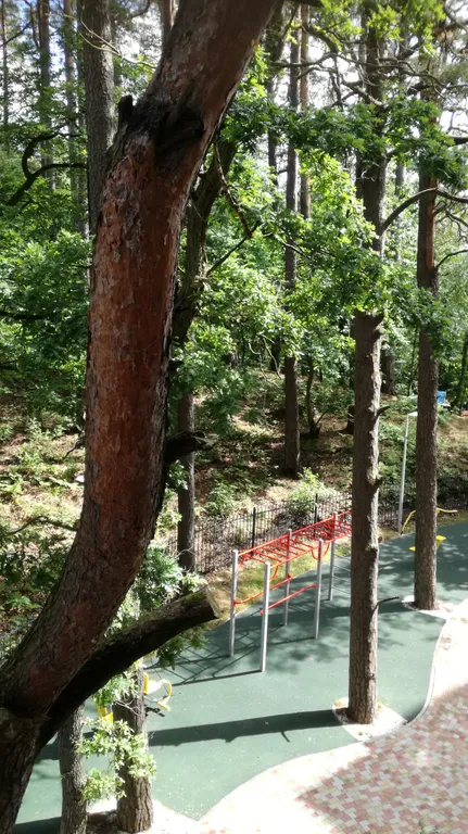 Студия в Сосновом бору