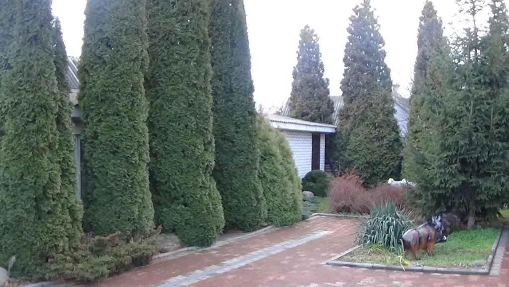 3-комнатная квартира в центре Бреста, двор с мангалом, парковка