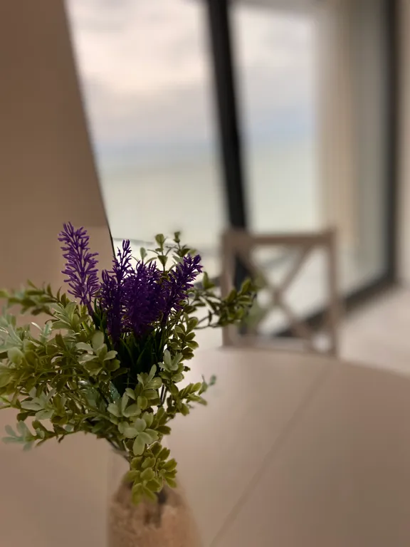 Апартаменты с видом на море