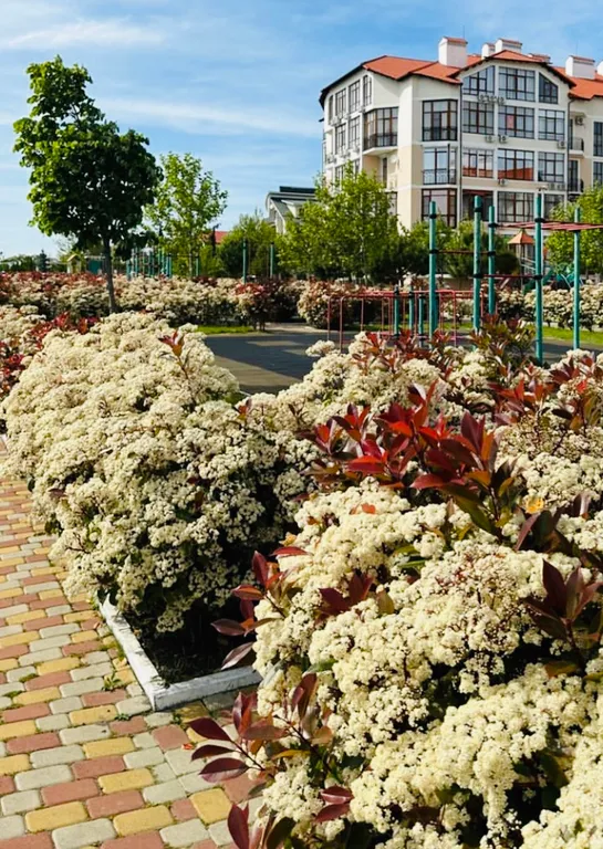 Квартира Квартира Апартамент с видом на море «ЖК Черноморский-2» — Геленджик