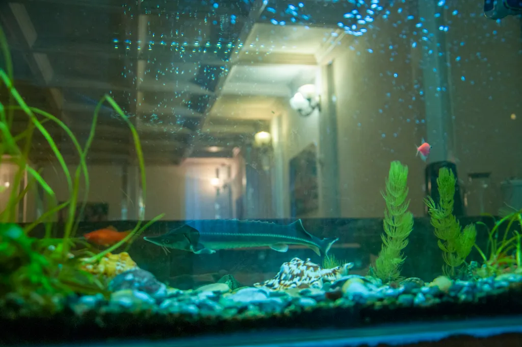 Апартаменты "Романтика" с бассейном и баней