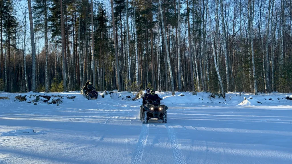 Дом с камином76