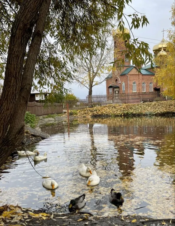 Апартамент с дизайнерским ремонтом, с видом на горы