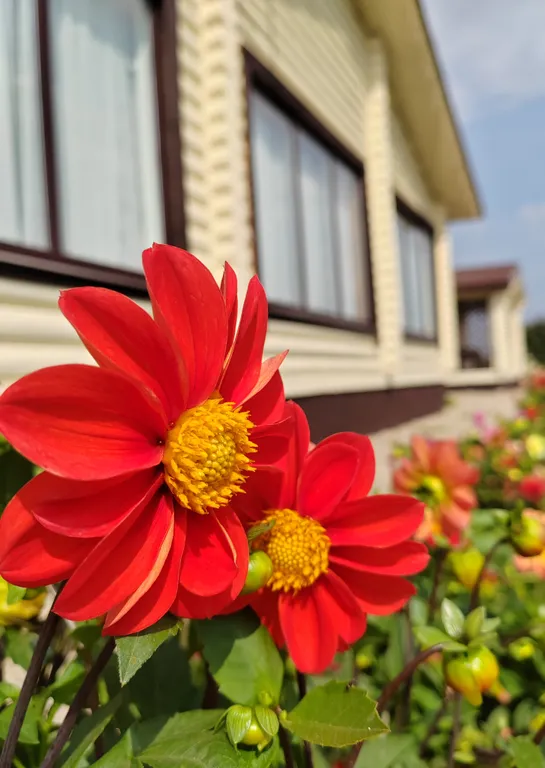 3-комнатный Дом