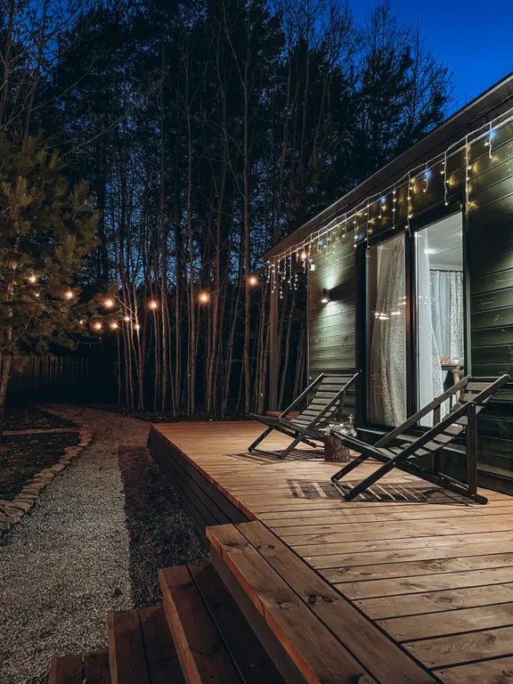 Дом с баней и купелью у леса