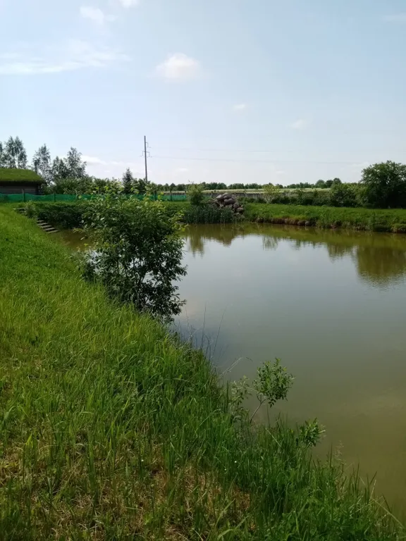 Деревянный домик с соломенной крышей и русская баня