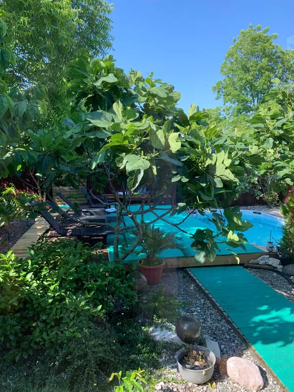 1-комнатный Дом